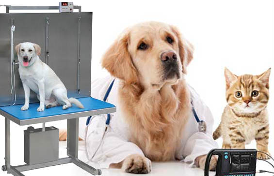 veterinary-equipment-disposable-market