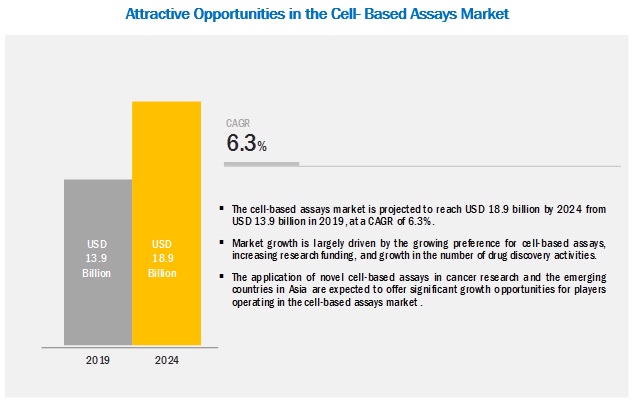 Cell based Assay Market