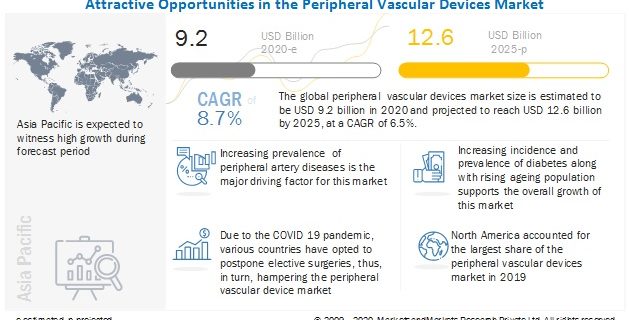 Peripheral Vascular Devices Market