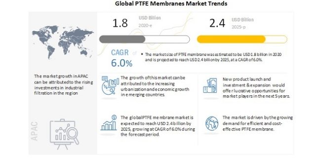 PTFE membrane market