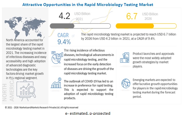 Rapid Microbiology Testing Market