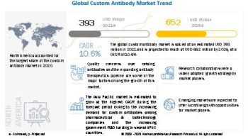MarketsandMarkets New release: Custom Antibody Market Analysis & Future Growth Prospects to 2026 | Key Segments, Benefits