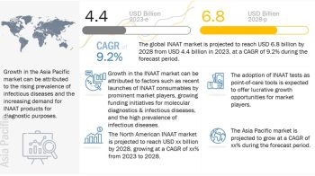 Advancements in Molecular Diagnostics: Understanding the Isothermal Nucleic Acid Amplification Technology Market