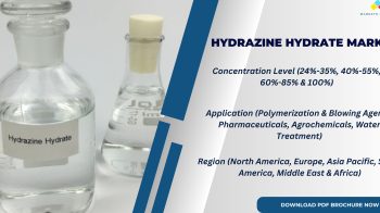 Global Impact: Hydrazine Hydrate Market Trends in Asia Pacific, North America, and Europe