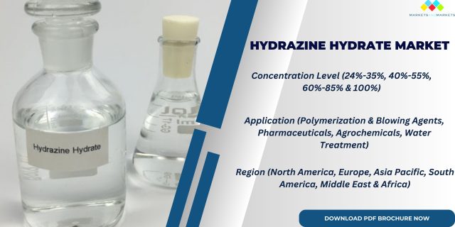 Hydrazine Hydrate Market