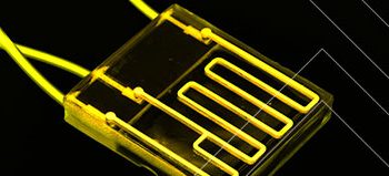 Progressive Projections: Organs-on-Chips Market on a Steady Climb