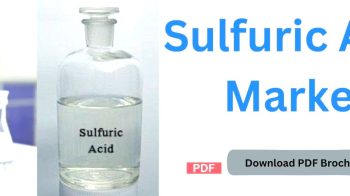 Sulfuric Acid Market Set for Significant Growth: Fertilizers and Chemical Manufacturing Leading the Way